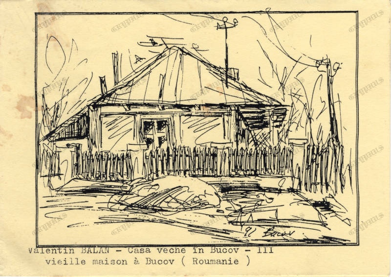 Schițe / Desen
